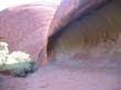 Ayers Rock - Uluru (4)
